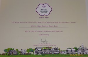 IYN 2015 certificate